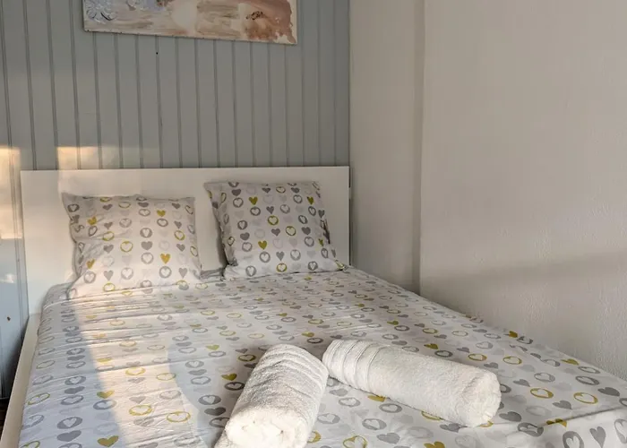 Ponta T2 - Proche Gare, Parc De Blossac Et Centre-ville * Poitiers