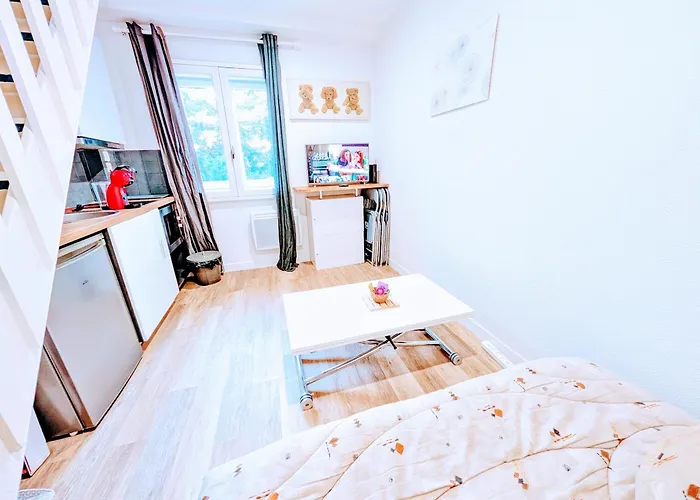 Ponta T2 - Proche Gare, Parc De Blossac Et Centre-ville Poitiers