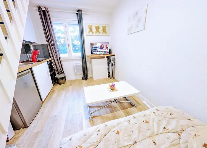 Ponta T2 - Proche Gare, Parc De Blossac Et Centre-ville Poitiers