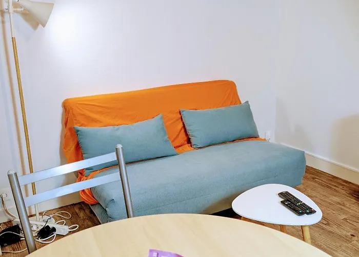 Ponta T2 - Proche Gare, Parc De Blossac Et Centre-ville * Poitiers