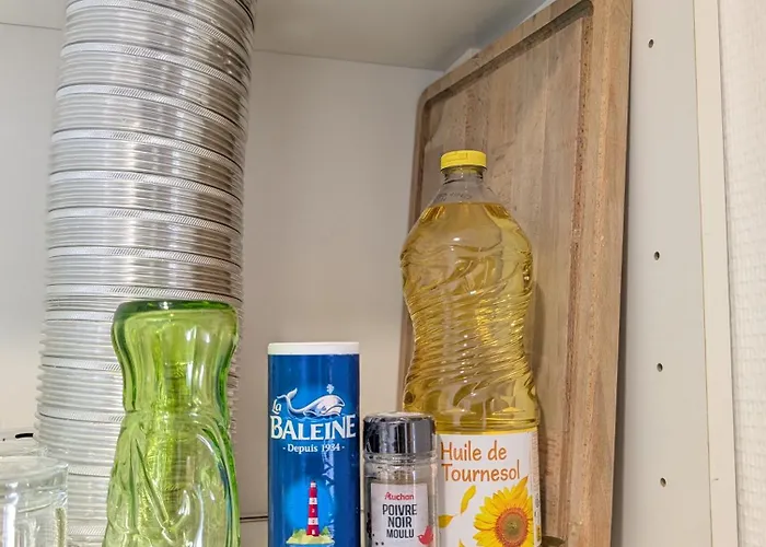 Ponta T2 - Proche Gare, Parc De Blossac Et Centre-ville * Poitiers